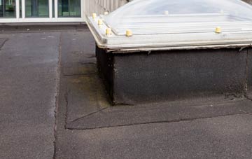 disadvantages of Carn Brea Village flat roofs