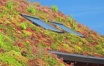 Carn Brea Village living roof systems